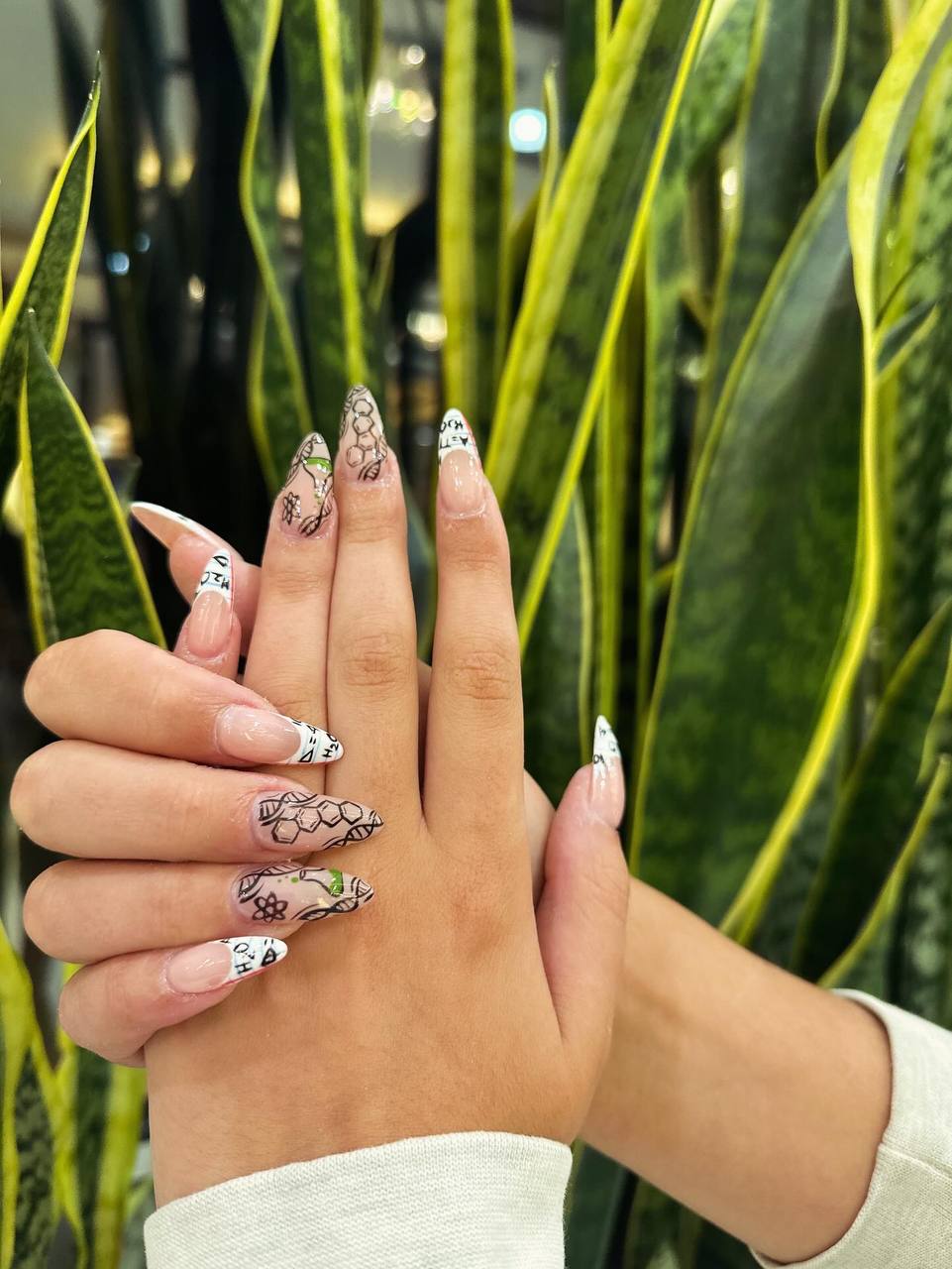 photo_5_2025-11-05_09-34-52